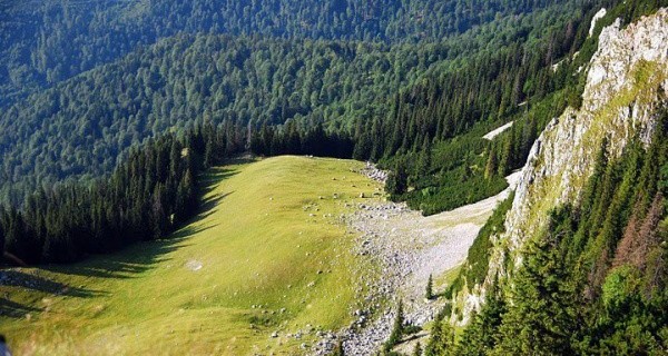 Conflict dintr-o eroare tehnica