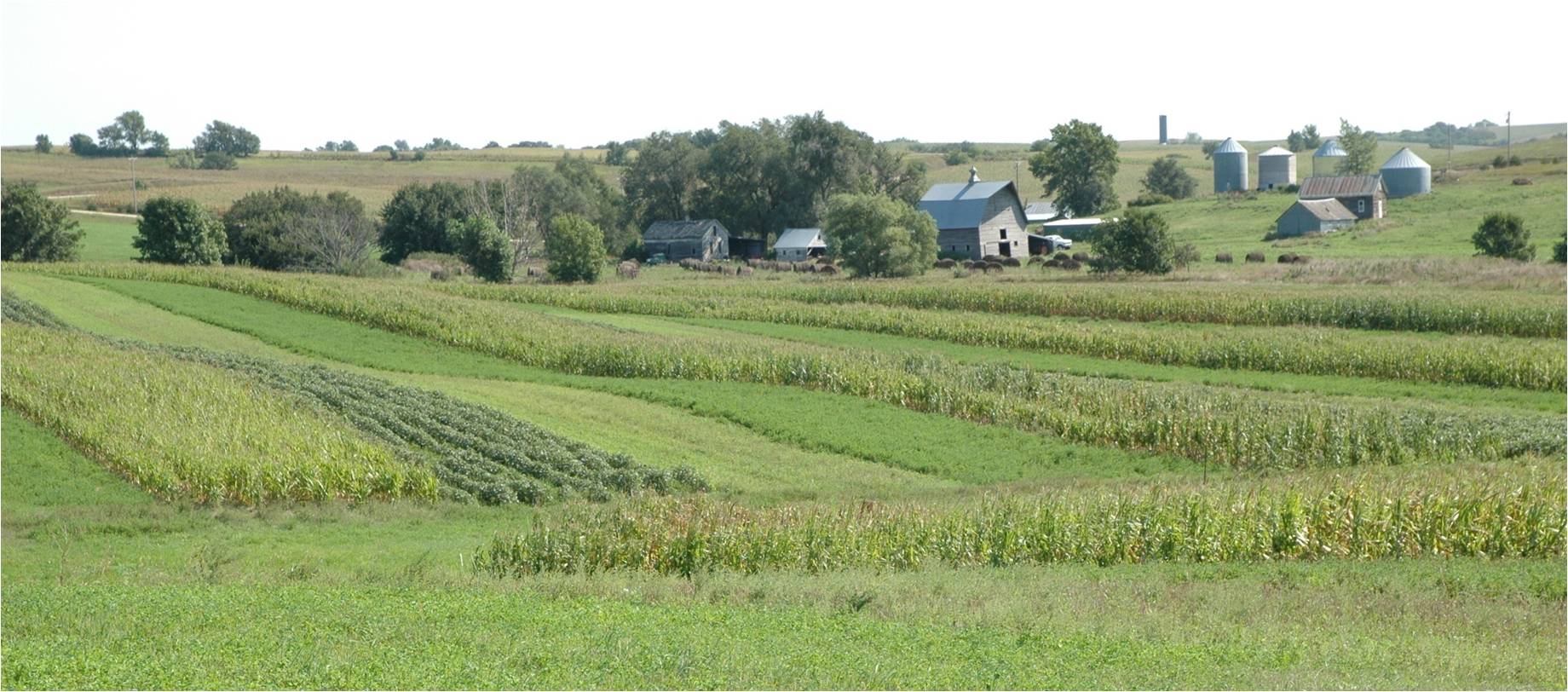Vești bune pentru fermieri