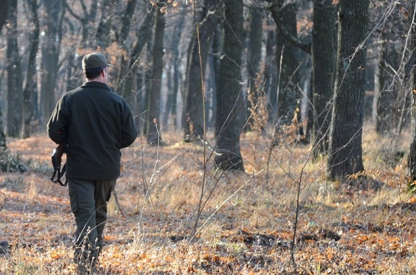 Locuri de muncă în Gorj