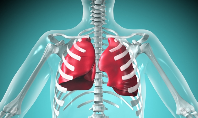 Transplant pulmonar și în România