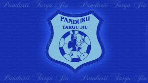 Meci important pentru Pandurii Targu Jiu