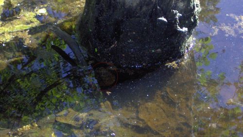 Obiective turistice in paragina