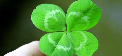 28 MAI-IMPARTE-MI DOAMNE NOROC