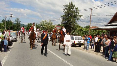 Sarbatoarea capsunului la Bunesti