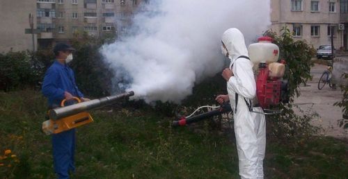 Campania impotriva tantarilor