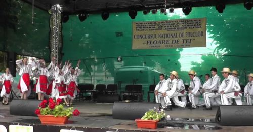 Concursul „Floare de Tei” la Corabia