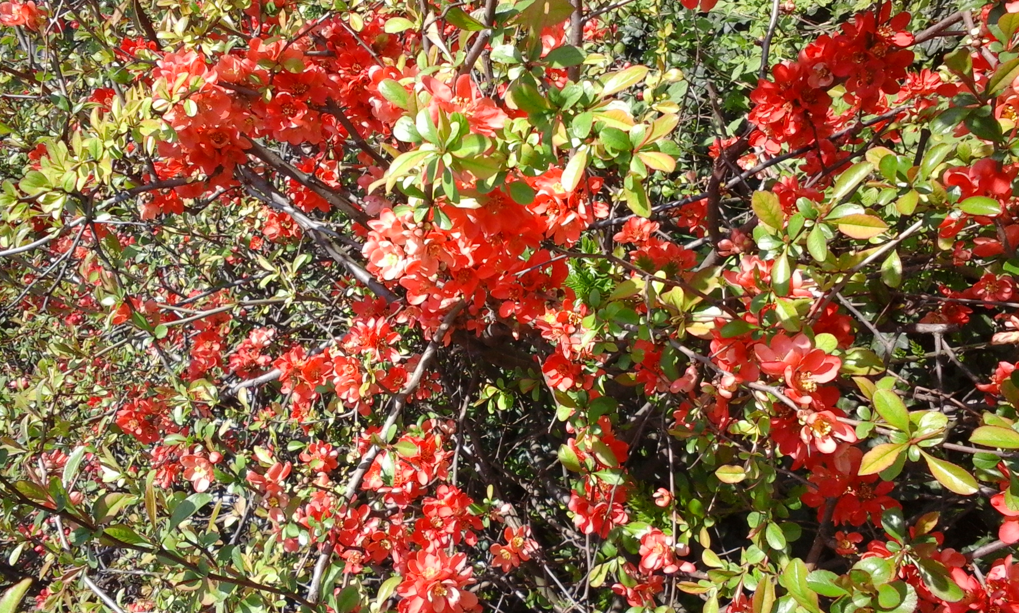 Azi despre ieri – 22 mai 2015