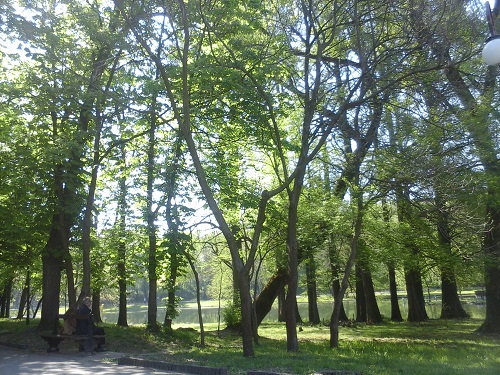 Azi despre ieri – 21 mai 2015