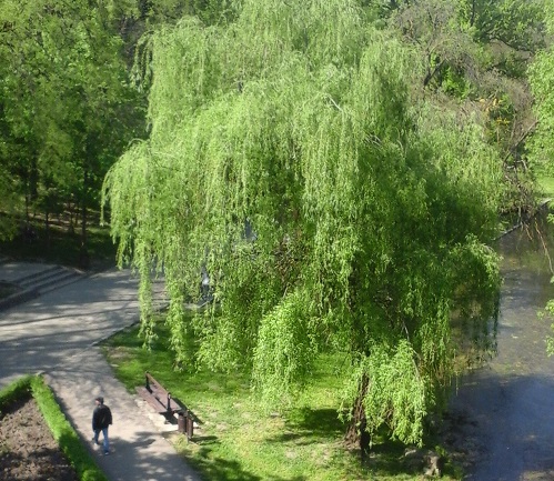 Azi despre ieri – 18 mai 2015