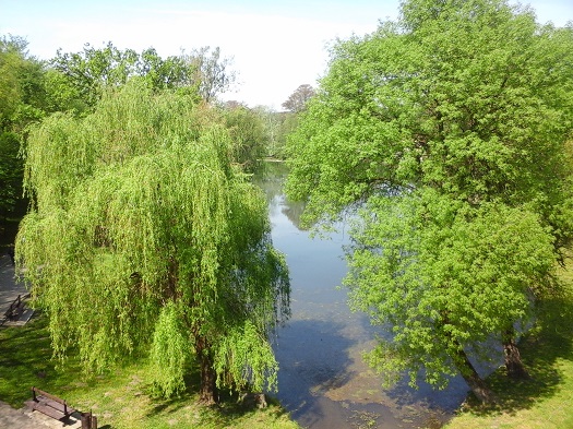 Ziua Europeană a Parcurilor