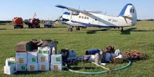 Dezinsecție la Craiova