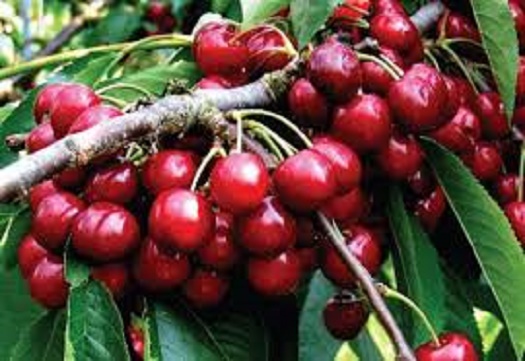 Azi despre ieri – 28 mai 2015