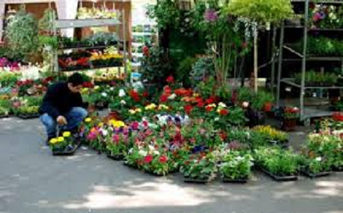 „Expo-Flora” la Slatina