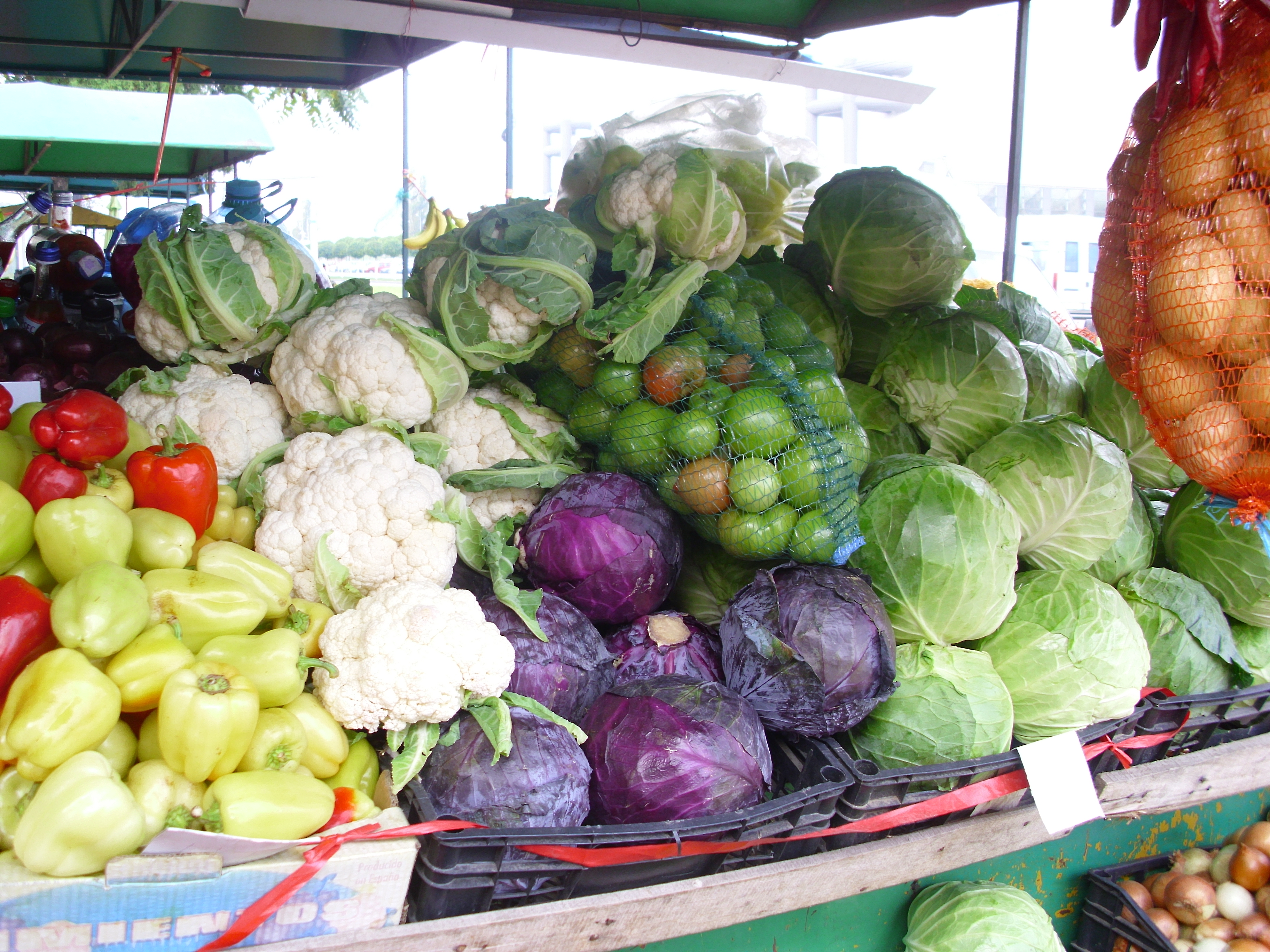 Impozitarea legumicultorilor