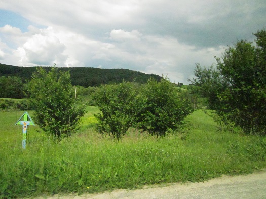 Azi despre ieri – 7 iunie 2015