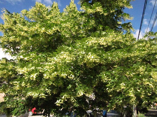 Azi despre ieri – 2 iunie 2015