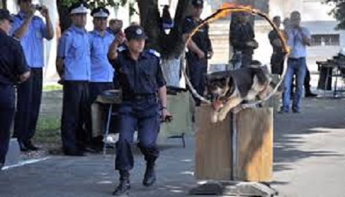 Activități dedicate celor mici