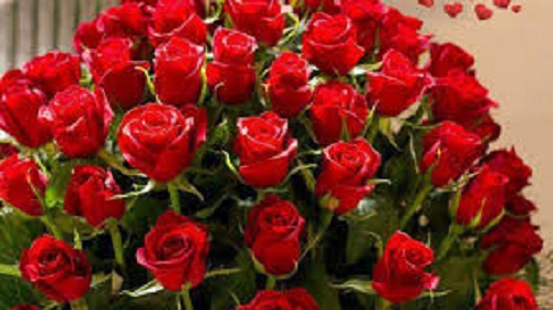 LA MULTI ANI DE ZIUA TA!