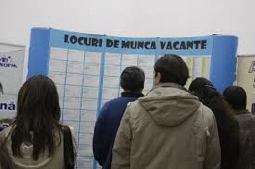 964 de joburi vacante