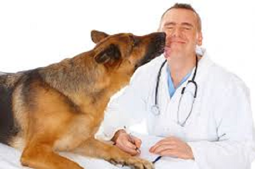 Ziua Națională a Medicului Veterinar