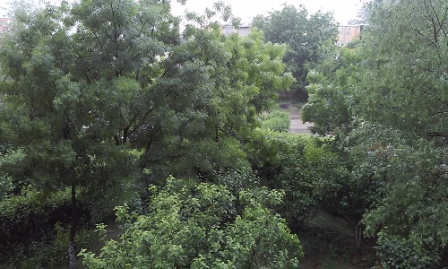 Azi despre ieri – 29 mai 2015