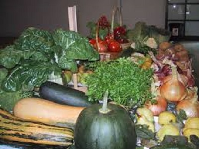 Agricultura ecologica