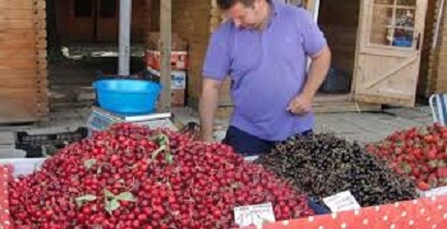 Cum se pot comercializa produsele din sectorul agricol