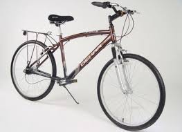 Cu bicicleta la sosea!