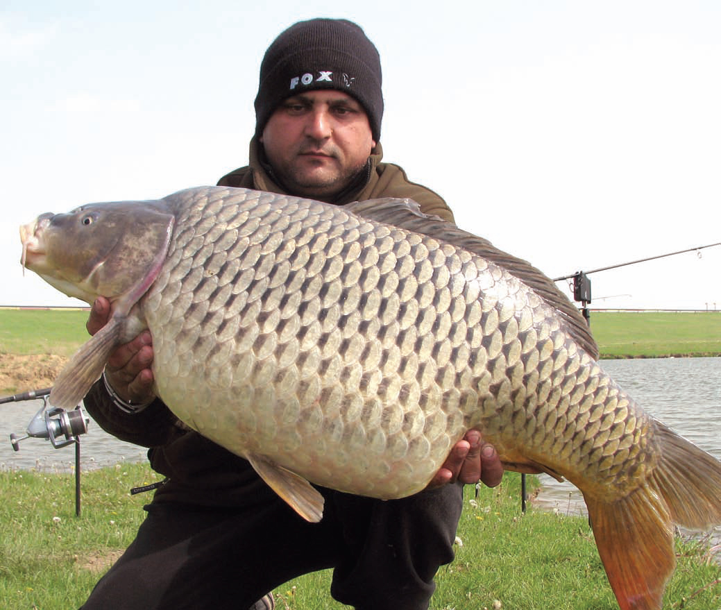 Peşte două săptămâni