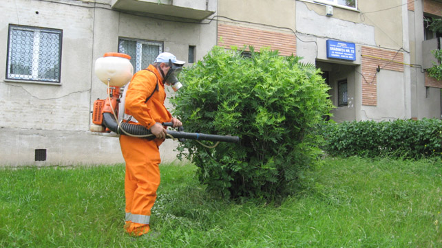 Incepe campanie de deratizare