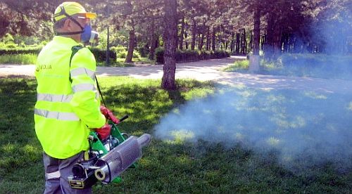 Campanie dezinsectie la Craiova