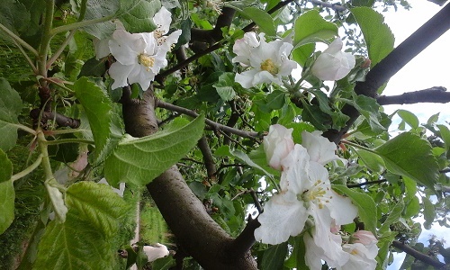 Azi despre ieri – 14 mai