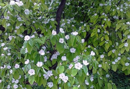 Azi despre ieri – 6 mai 2015