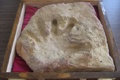 Șantier de 300 de milioane de ani