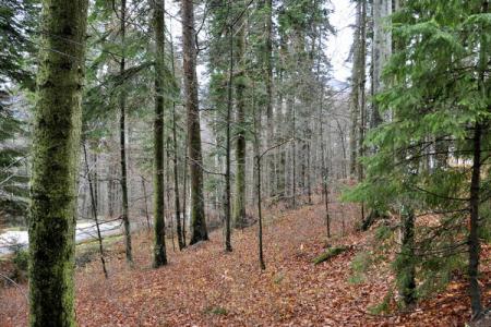 Guvernul sesizeaza DNA