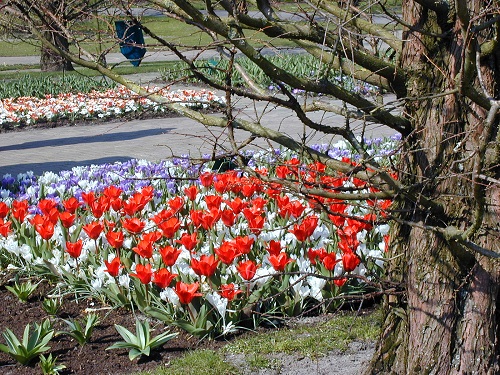 Parcul Keukenhof din Olanda