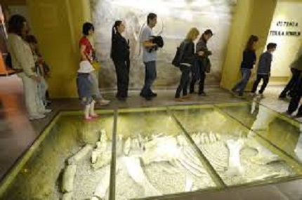 Noaptea Muzeelor la Muzeul Olteniei