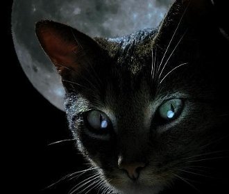 13 – ghinion sau noroc?