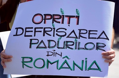 Proteste faţă de tăierea pădurilor