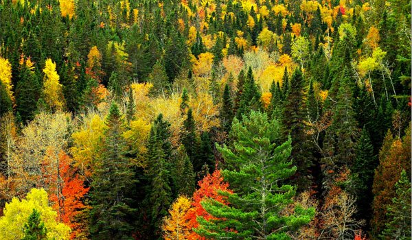 Nou obiectiv de mediu