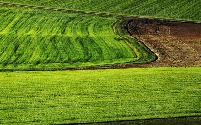 Monitorizare intarziata