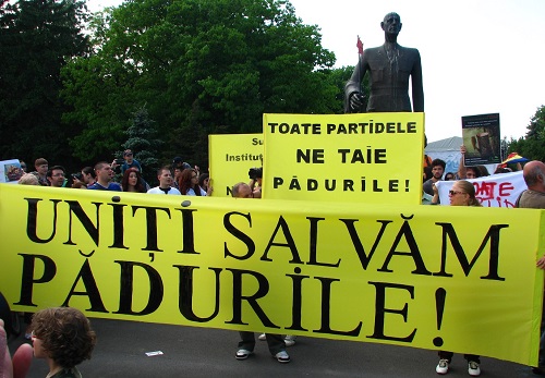 Proteste impotriva taierii padurilor