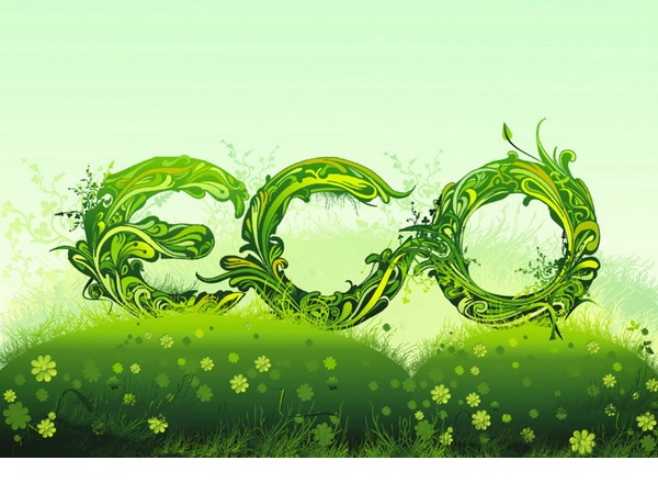 „Eco- Schools” in Dolj