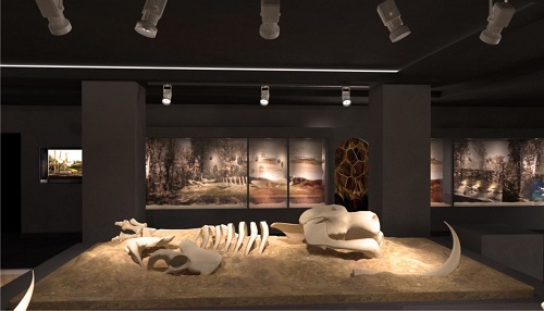 Noaptea muzeelor la Stiintele Naturii