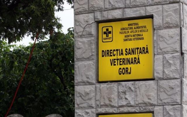 Nou director la DSV Gorj