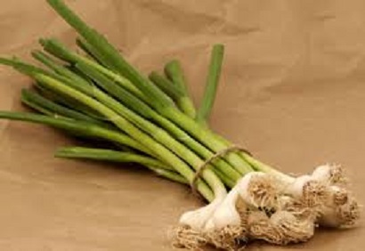 Beneficiile usturoiului verde