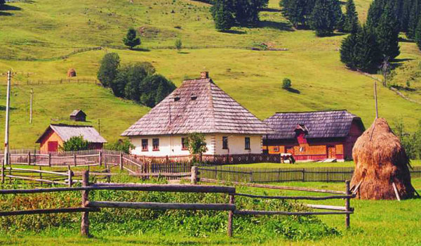 „Vacante la tara”