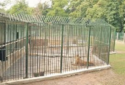 Conditii ca la … zoo!