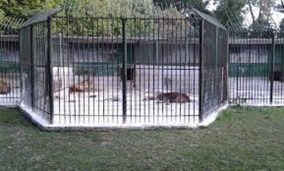 Gradina Zoologica e gata!