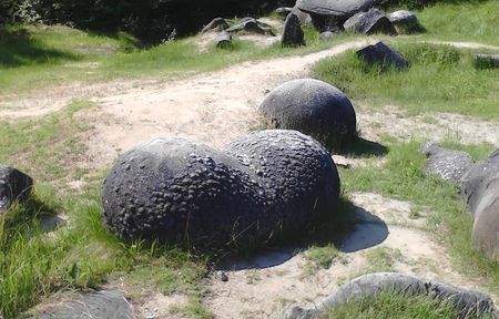 ”Pietre care cresc” sau ”ouă de dinozauri”?